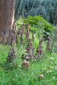 0093Arboretum Vallee aux loups